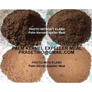 bungkil sawit / palm kernel expeller meal