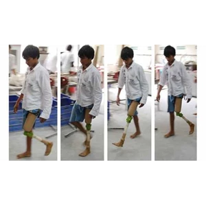 kaki & tangan palsu teh lin