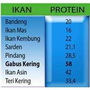 perbandingan protein