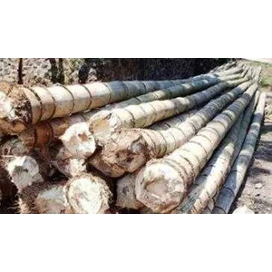 bamboo pole