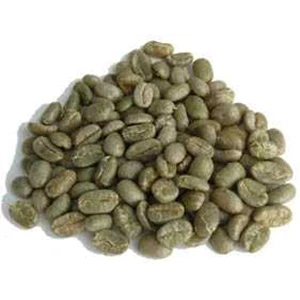 kopi luwak green bean