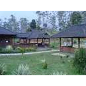 type gazebo