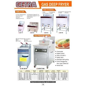 gas deep fryer
