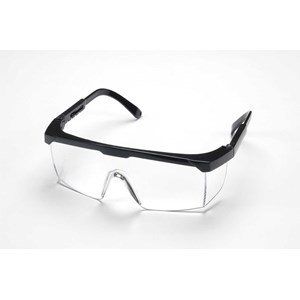 porch googles clear