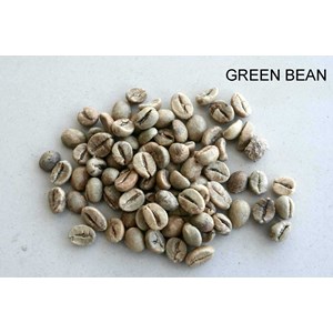 green bean kopi luwak