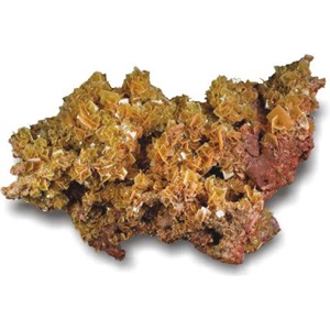 lanthanum & cerium