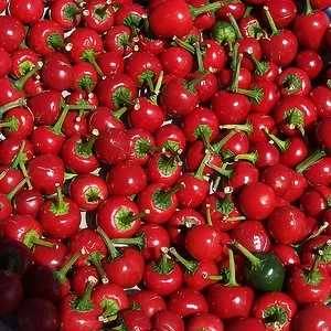 biji cherry pepper