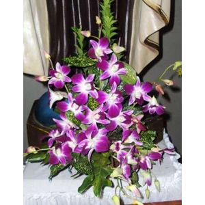 anggrek ungu, bunga meja