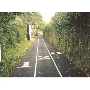rubber flooring ( jogging track)