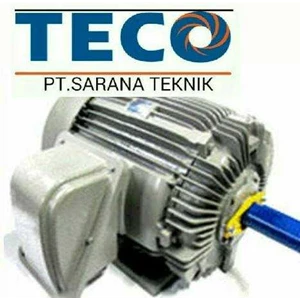 elektrik motor teco-1