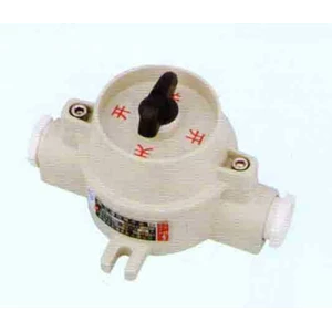 switch explosion proof