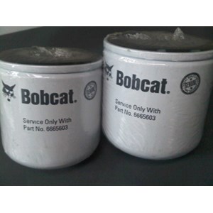 6665603---bobcat filter