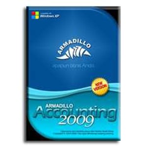 armadillo accounting