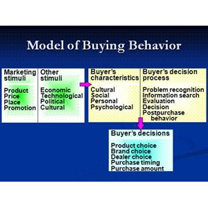 consumer behavior research