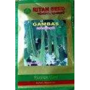 benih gambas ritan seed