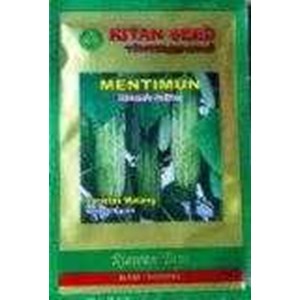 benih mentimun var. watang ritan seed