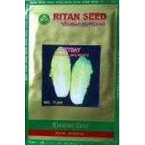 benih petsay ritan seed