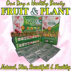 obat langsing herbal fruit & plant slimming capsule usa