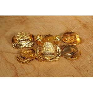 pin korpri