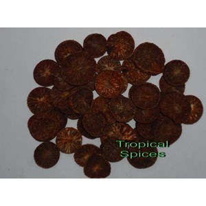 areca catechu