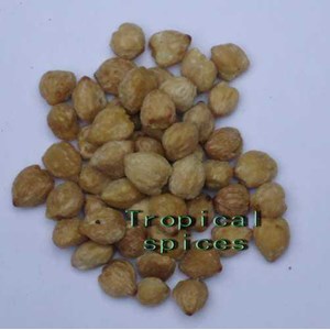 aleurites moluccana