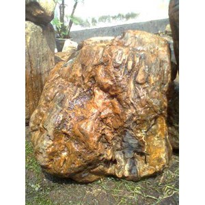 fosil kayu # 005#