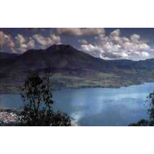 kintamani