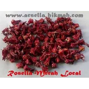 rosella merah lokal