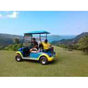 patrev golfo ( 2 seats)-3