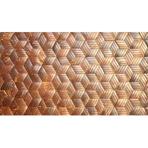 coconut shell panels - dark chakra lined