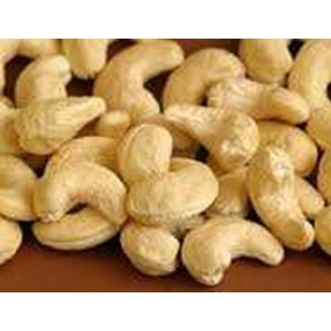 kacang mete sulawesi