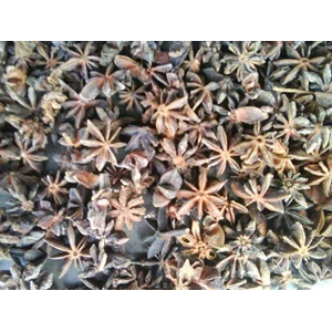 aniseed, bunga lawang, star aniseed
