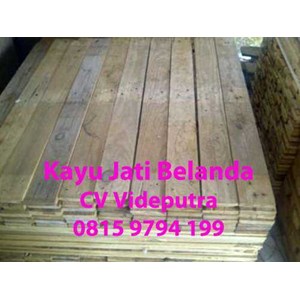 kayu jati belanda-1