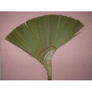 sapu kuda / udang
