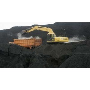 steamed coal