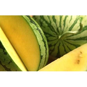 semangka yellow