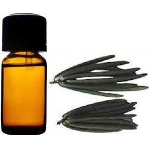 minyak vanili ( vanili oil)