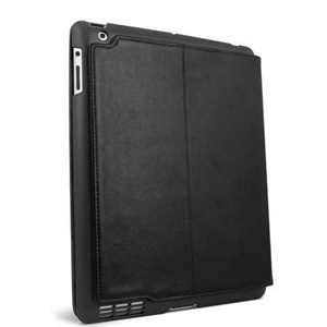 ifrogz for ipad 2