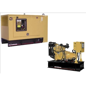 diesel generating set olympian™
