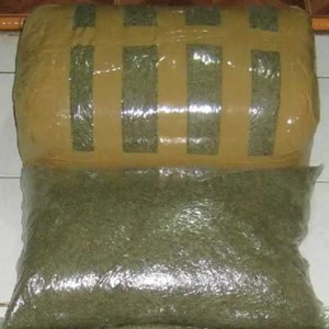ogroex white kratom
