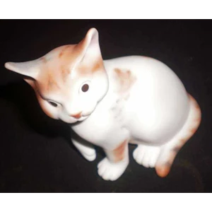 cute kitten