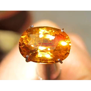 super luster natural vivid yellow sapphire + ghi certf limited sfr405