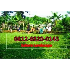 tukang taman murah jasa landcape kolam minimalis saung gazebo bambu rumput gajah mini golf-2