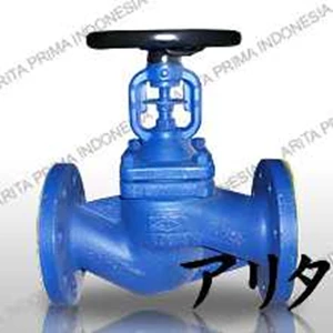 globe valve cast iron body