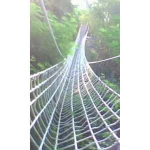 jembatan jaring laba - laba