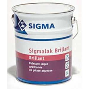 cat sigma