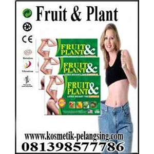 pelangsing badan ( fruit & plant capsul) 081398577786