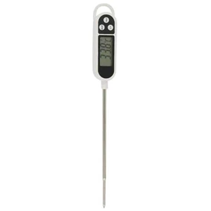 ft300 digital thermometer