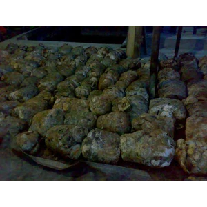 membeli karet