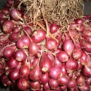bawang mearah
